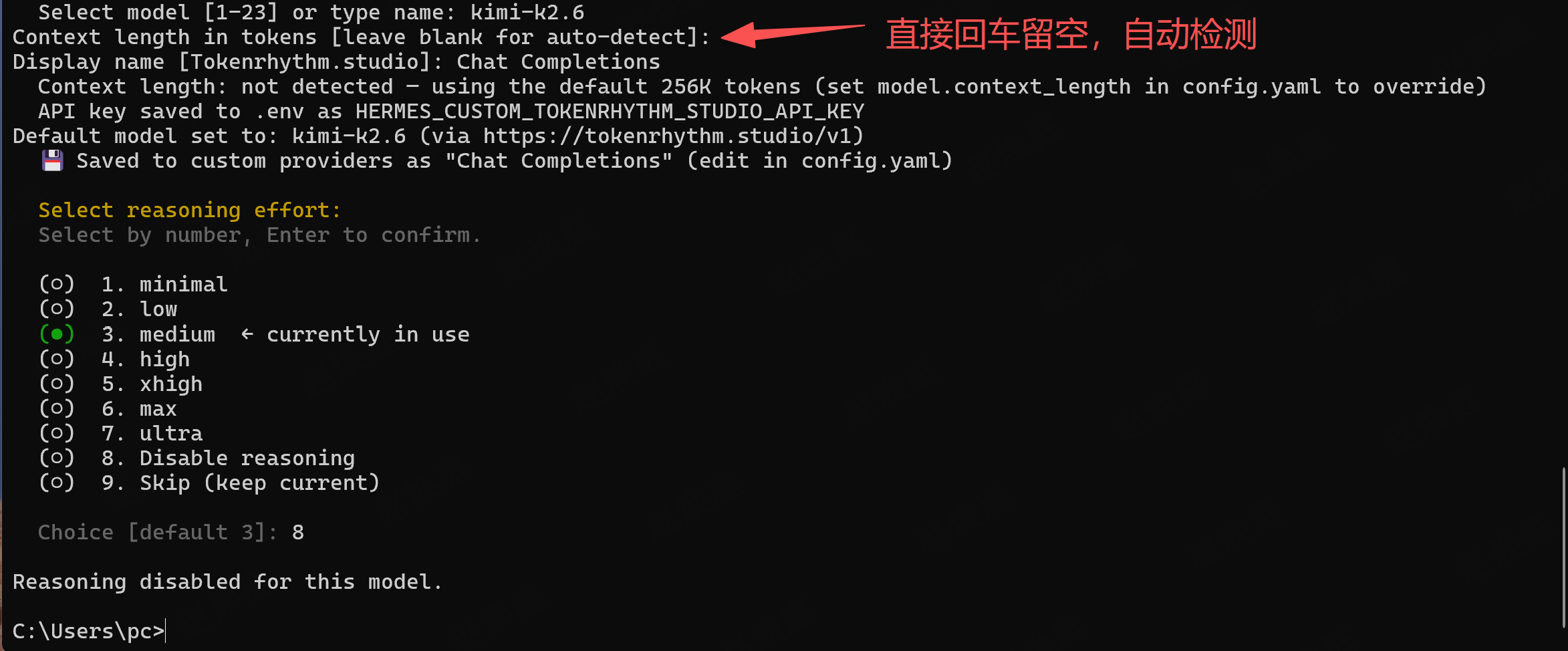 确认上下文检测结果和显示名称，再按模型能力选择推理设置